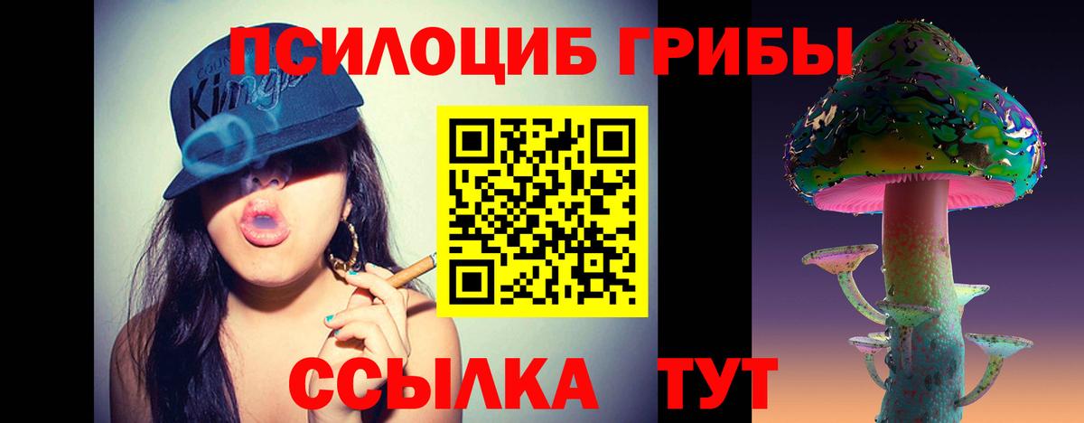 Псилоцибиновые грибы GOLDEN TEACHER  Галлюциногенные грибы Cubensis  купить закладку  Ессентуки  Вход с VPN 